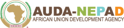 AUDA-NEPAD logo