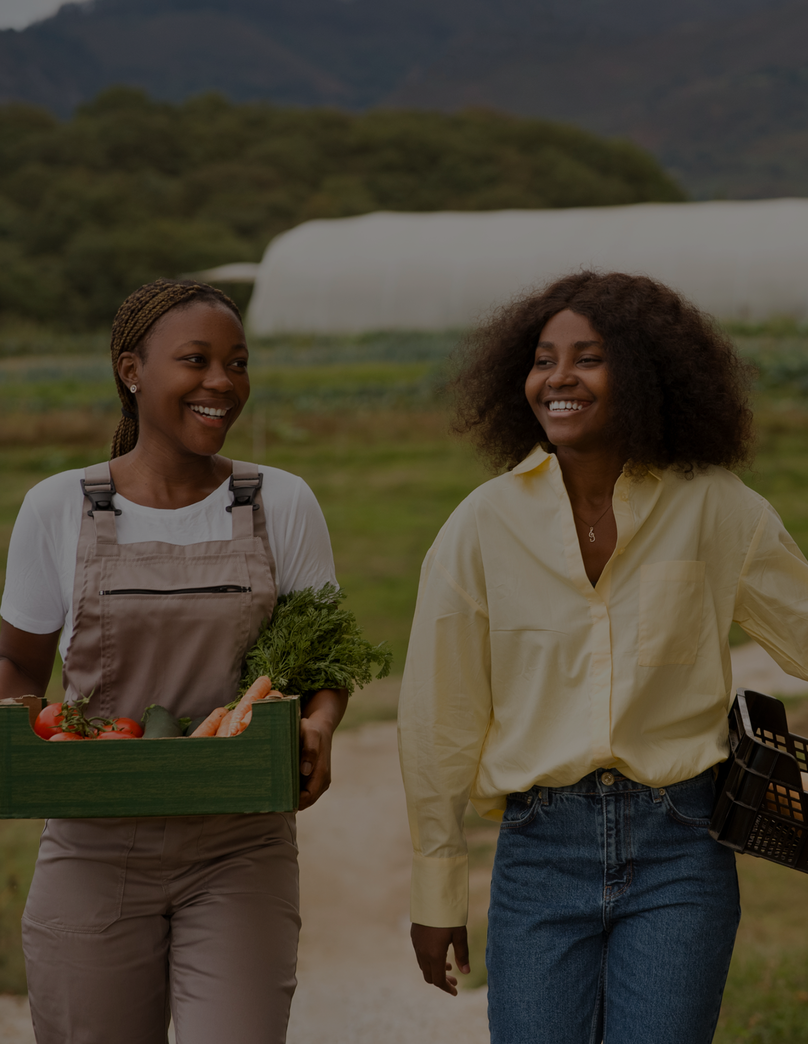 Women walking through a field with produce baskets.