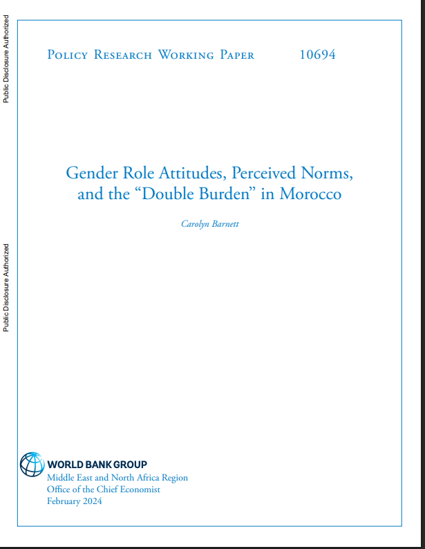 Informal sector work in urban Sub-Saharan Africa