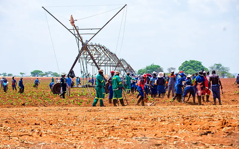 From Costs to Crops: Understanding the ROI of Solar Power in Commercial Farming