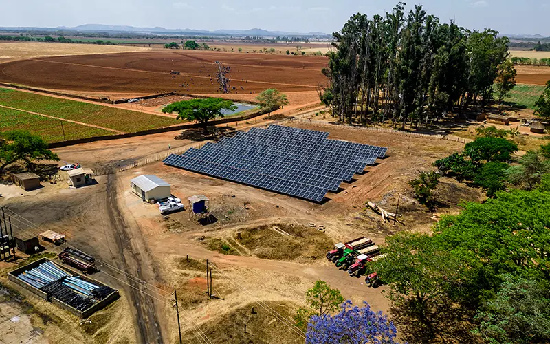 TerryDen Farm Open Day