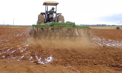 Keys to Achieve 11 Tonnes/Ha Maize