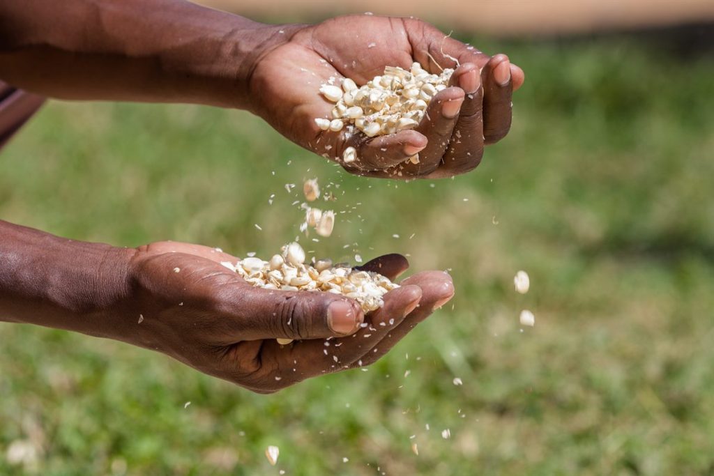 Climate-smart breeding, farmer livelihoods, sound governance