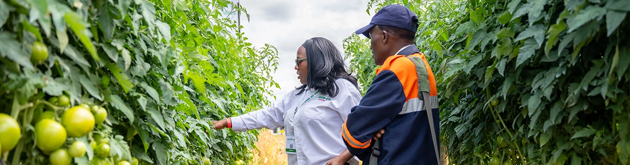 Seed that stands up to a changing climate