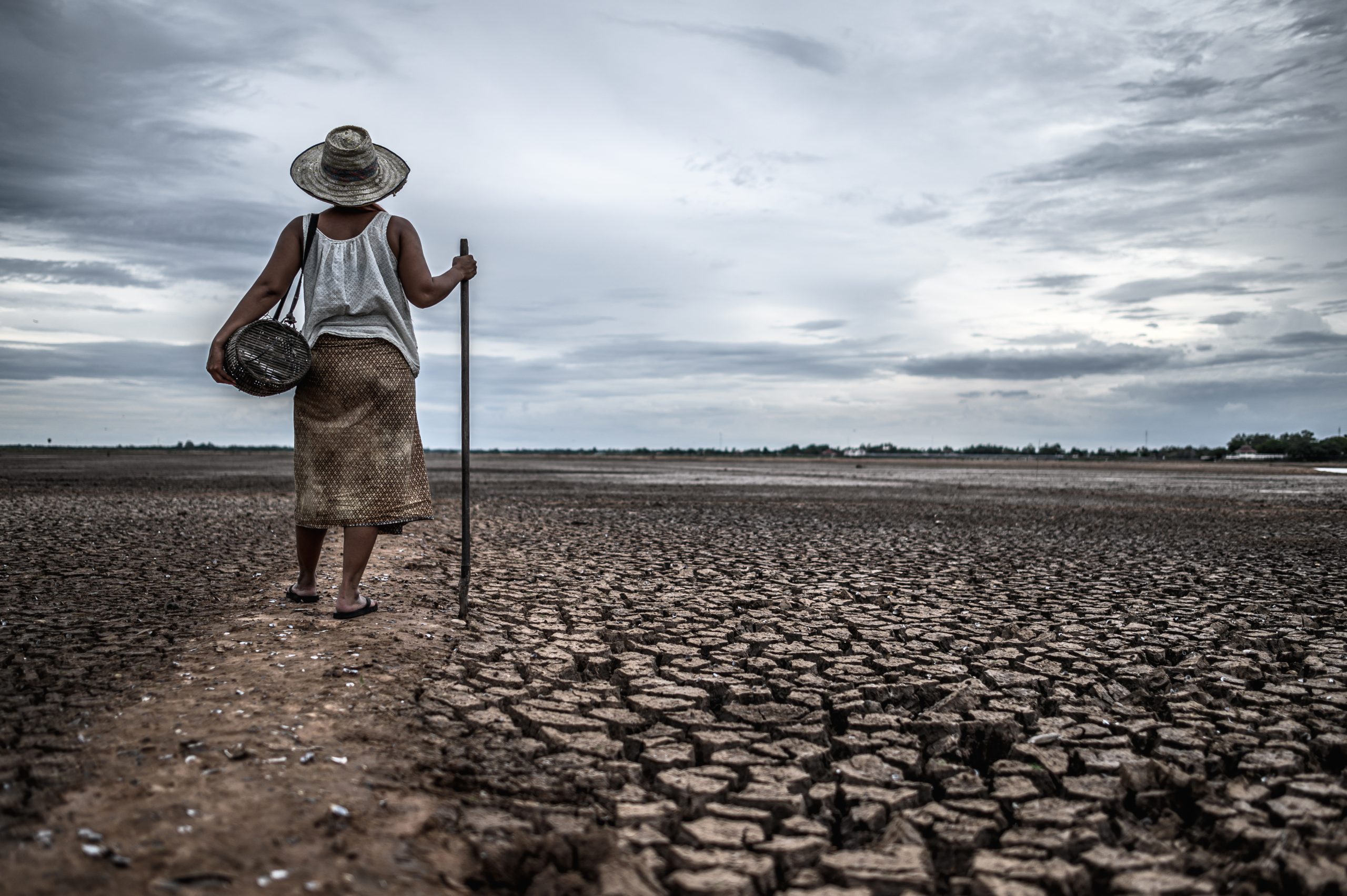 El Niño Advisory 2026/27