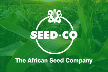 Seed Co placeholder image