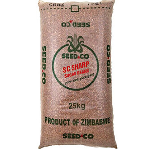 sharp sugar beans