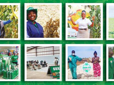 annual-report-banner