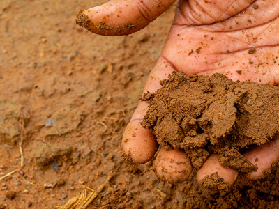 holding wet soil