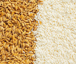 menu-rice