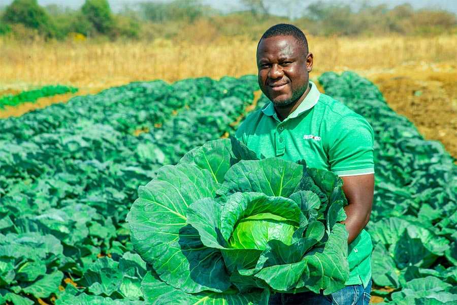 Farm Visit