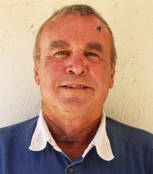 Mr M. Bellis