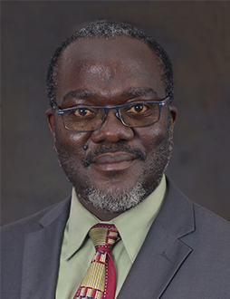 Mr T Mushambi