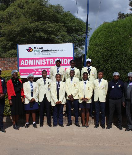 Design and  Technology Report to Mega Park Zimbabwe