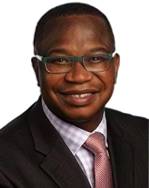 Hon. Prof. Mthuli Ncube, MP
