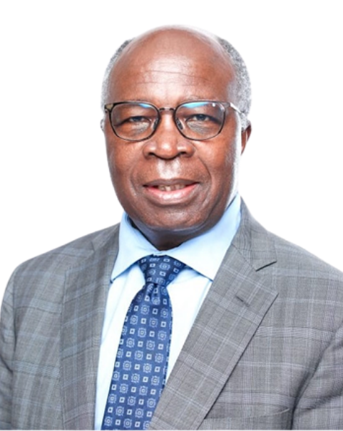 Hon. Dr Situmbeko Musokotwane,MP